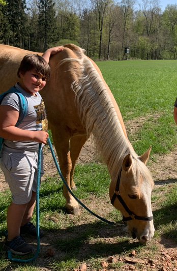 Ein Junge führt ein Pferd.